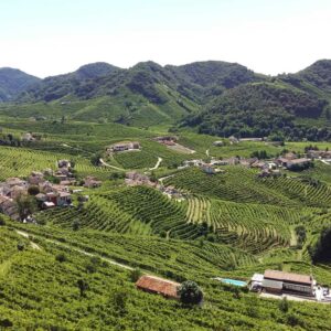 Colline del Prosecco tour con guida